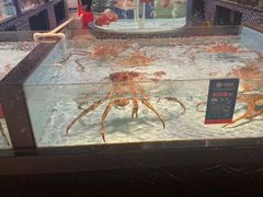 -尚海豆捞(乐虹坊店)