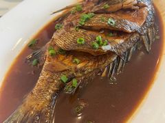 -魚當家