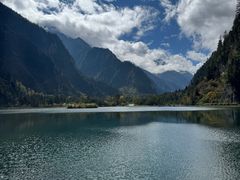 -金鼎雪山牦牛杂火锅(理县总店)
