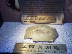 -吉林市朱雀山国家森林公园