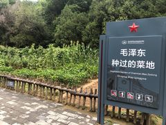 -延安杨家岭革命旧址