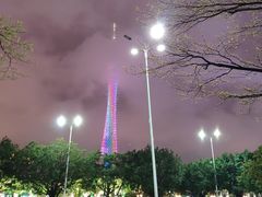-珠江夜游广州塔·中大码头