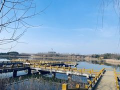 -黄海国家森林公园