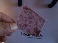 -Laderach 莱德拉(上海环贸iapm店)