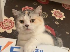 -贝利宠物医院·骨科·眼科·肿瘤转诊中心(南坪诊疗中心)