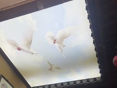 -徽三说·土徽菜·中国徽菜连锁品牌(一中店)
