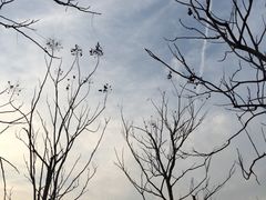 -梁鸿国家湿地公园