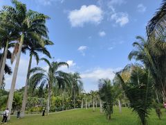 -中国科学院西双版纳热带植物园