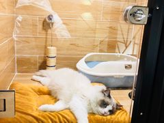 -小尾巴宠物店(万科·金域华庭店)