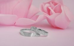 点击看大图 -威德钻石-克拉钻大本营(南京东路店)