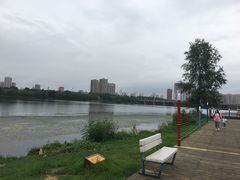 -长白岛森林公园