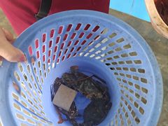 -秋姐美食店 始于2014年(旅游大道店)