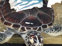 -鸿通城购物中心