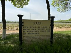 -龙谕酒庄