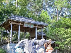 -千岛湖东南湖区