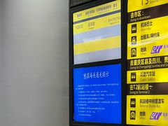 -新加坡航空公司(ION)
