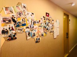 -海豚湾高端月子会所(黄浦店)