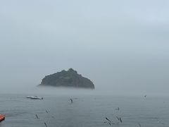 -棒棰岛宾馆景区