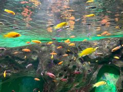-常州海昌海洋探索馆