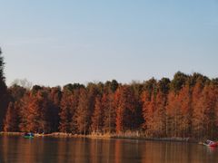 -上海海湾国家森林公园
