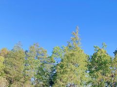 -东湖落雁景区