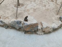 -太原动物园