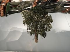 -深圳市当代艺术与城市规划馆