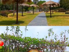 -武汉紫薇都市田园