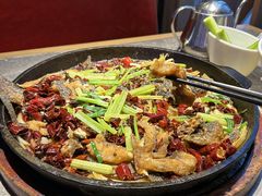 -老板恋上鱼(恒隆广场店)