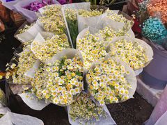 -循礼门鲜花花市(武汉循礼门店)