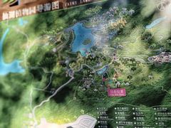 -深圳仙湖植物园