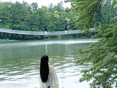 -东湖落雁景区