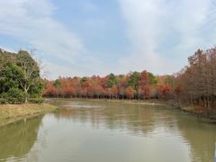 -上海海湾国家森林公园