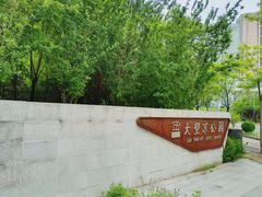 -大望京公园