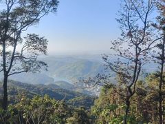 -广州市帽峰山景区