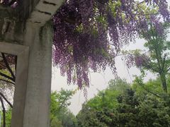-幕燕滨江·长江观音景区