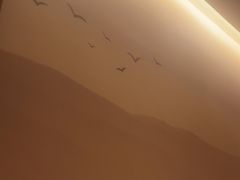 -金凤凰健康养生·足疗·推拿·SPA(横岗店)