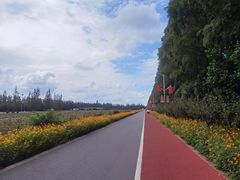 -上海长兴岛郊野公园