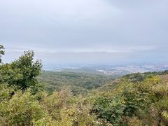 -北京西山国家森林公园