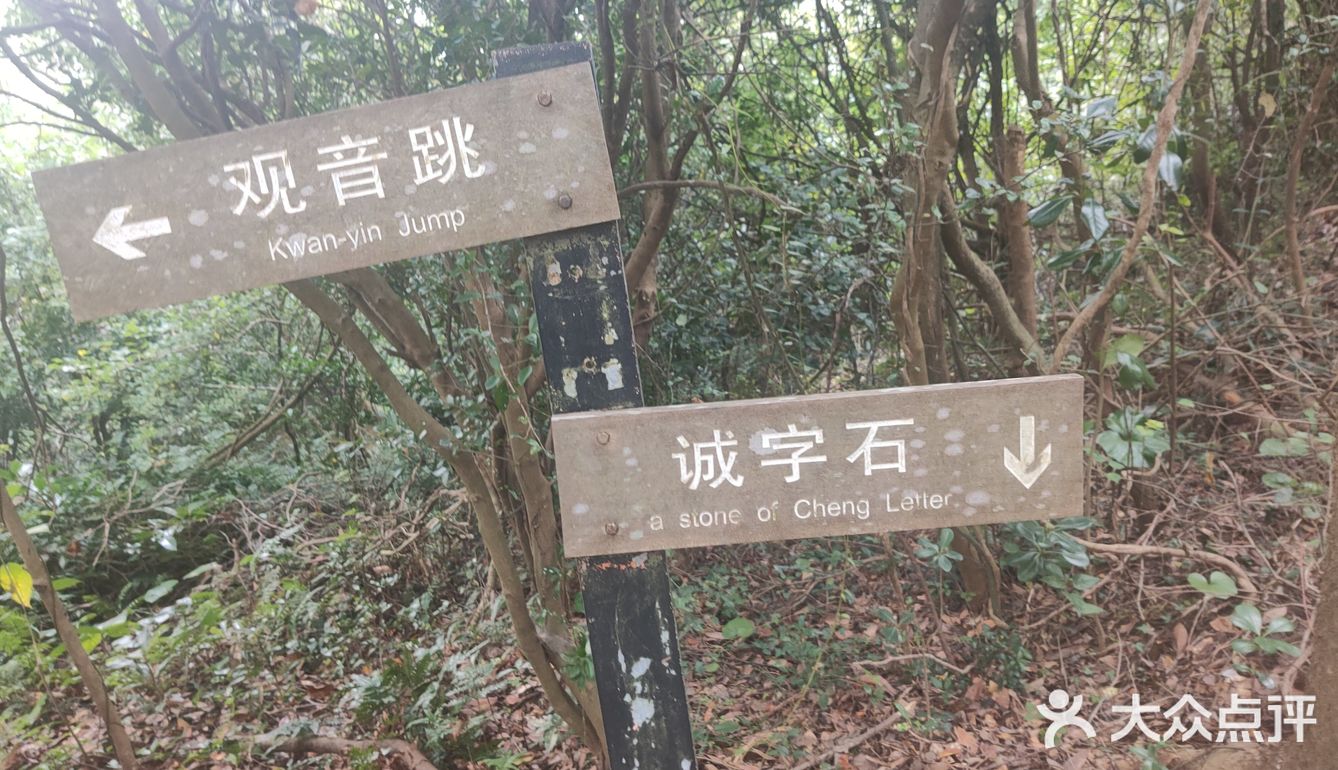 距离上海最近的海边了[呲牙][呲牙][呲牙][呲牙]