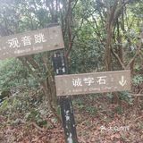距离上海最近的海边了[呲牙][呲牙][呲牙][呲牙]