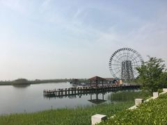 -太湖湖滨国家湿地公园-停车场