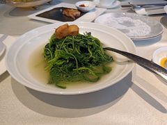 上汤时蔬-皇朝会.经典传统粤菜(外滩店)
