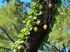 -城市海洋国标恒温游泳馆(株洲体育中心店)