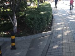 -栗记麦香坊·草之楼仙豆糕(东直门店)