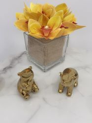 -MIVI野生眉纹绣纹眉