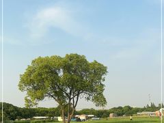 -嘉北郊野公园