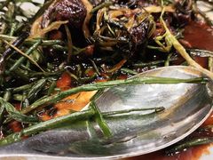 -新吉士·上海菜(浦东LCM置汇旭辉店)