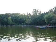 -邓记新一代糖油果子(四川煤管局供销公司职工宿舍店)