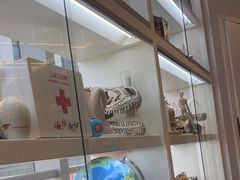 -斯坦星球AI编程·机器人科创·科学实验·信奥·思维·STEM·乐高·竞赛考级(长宁虹桥大融城荟聚中心)